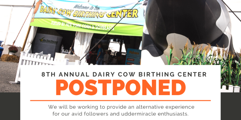 Image for 8th Annual Dairy Cow Birthing Center - Postponed
