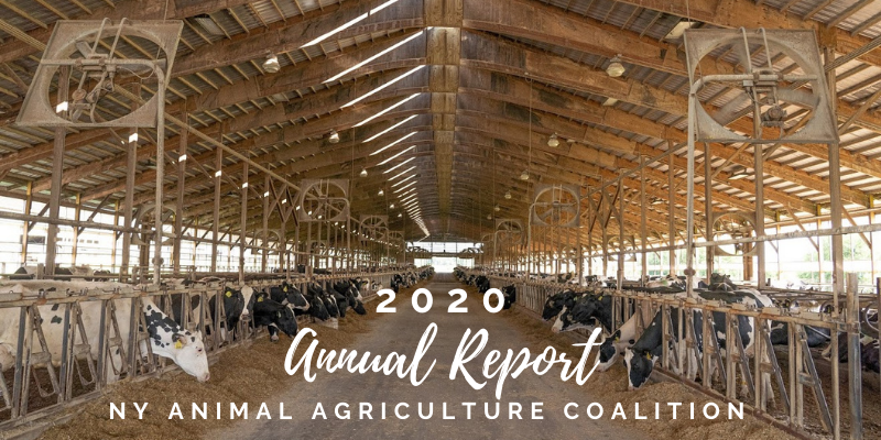 Image for 2020 Annual Report