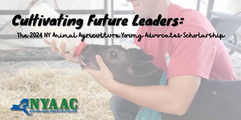 Image for Cultivating Future Leaders: The 2024 NY Animal Agriculture Young Advocates Scholarship