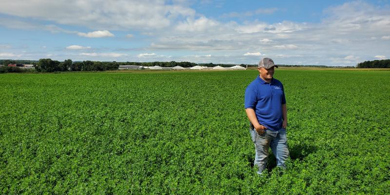 Efficiency and Sustainability: New York Farmers' Approach