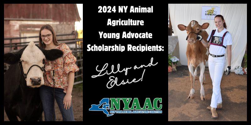 Image for NYAAC's 2024 Scholarship Recipients